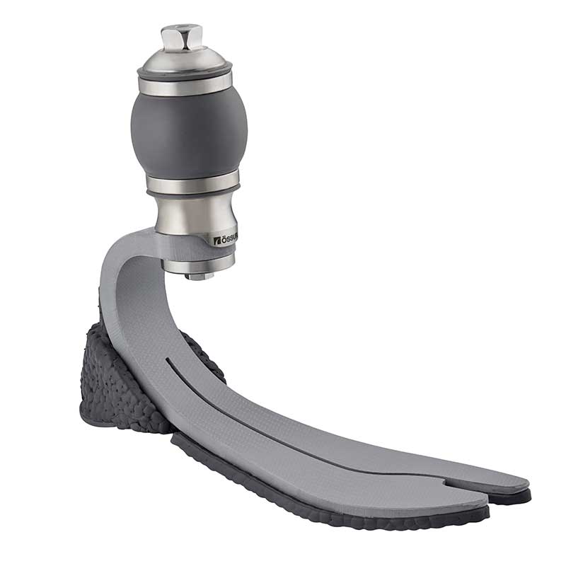 Everyday Feet R. J. Rosenberg Orthopedic Lab, Inc.